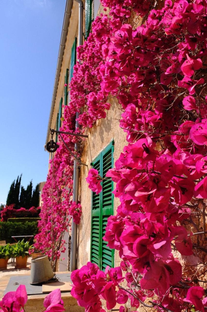 Son Capellot Villa Felanitx Exterior photo